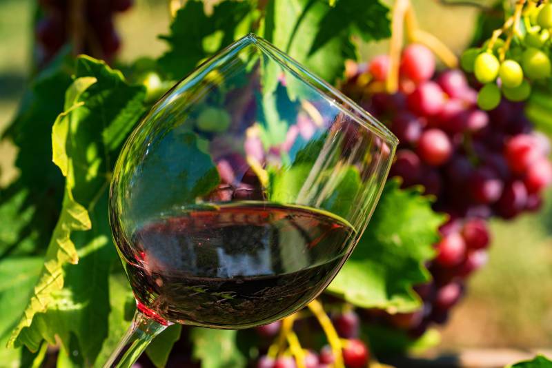 Taxi per cantine Franciacorta da Bergamo - wine tour NCC