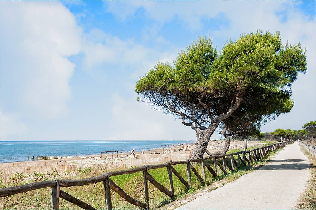NCC Costa degli Etruschi - San Vincenzo, Castagneto Carducci, Marina di Bibbona